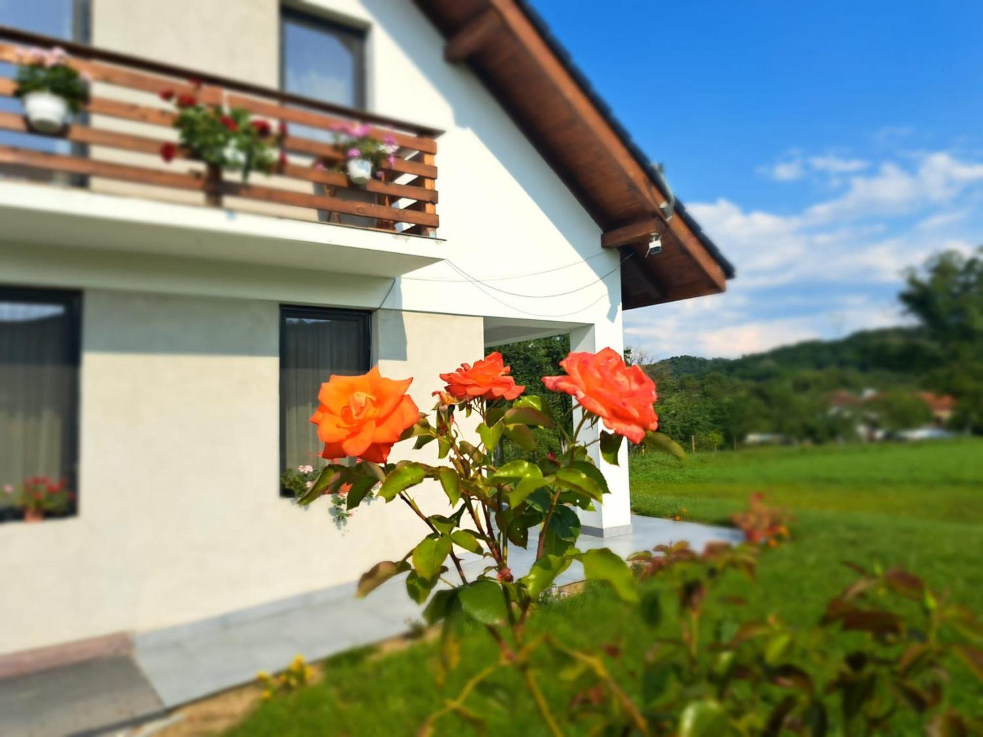 Eco familia Hotel Pojoga Bagian luar foto